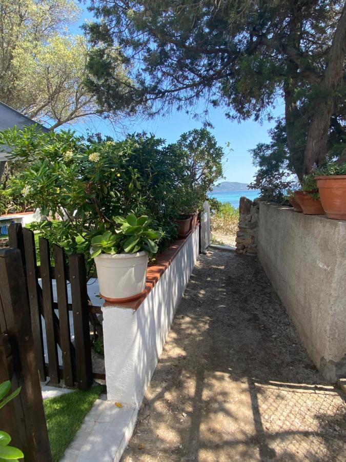 La Casa Sull'Acqua Villa Olbia Eksteriør billede